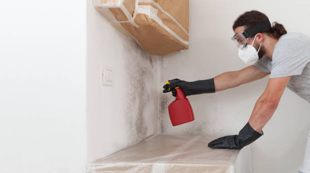Professional Bathroom Mold Removal technician working in Beavertown, PA